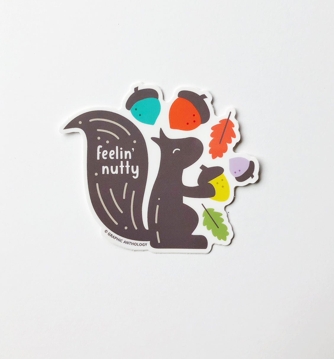 Squirrel sticker