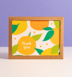 Citrus Grove thank you - box set