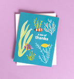 Sea of Thanks - box set