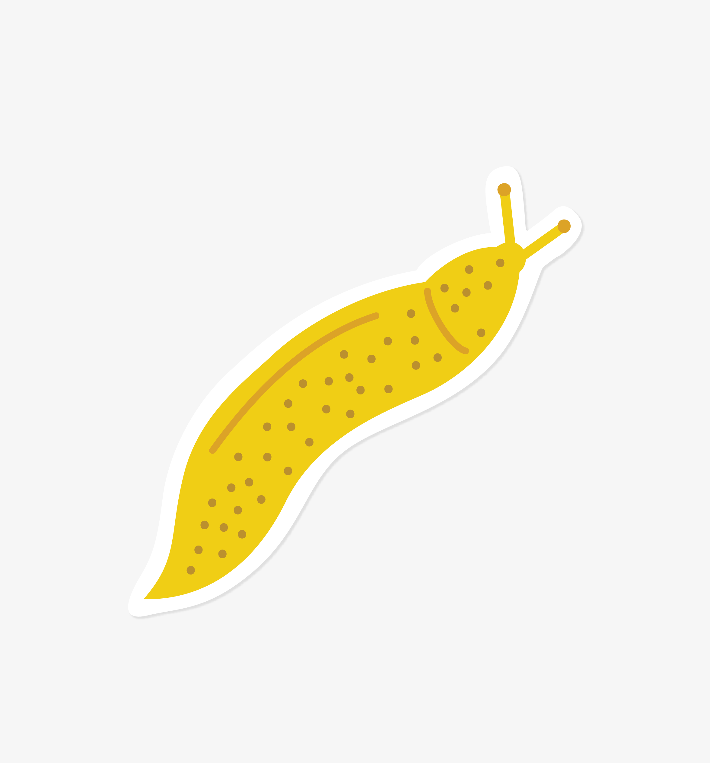 Banana Slug sticker