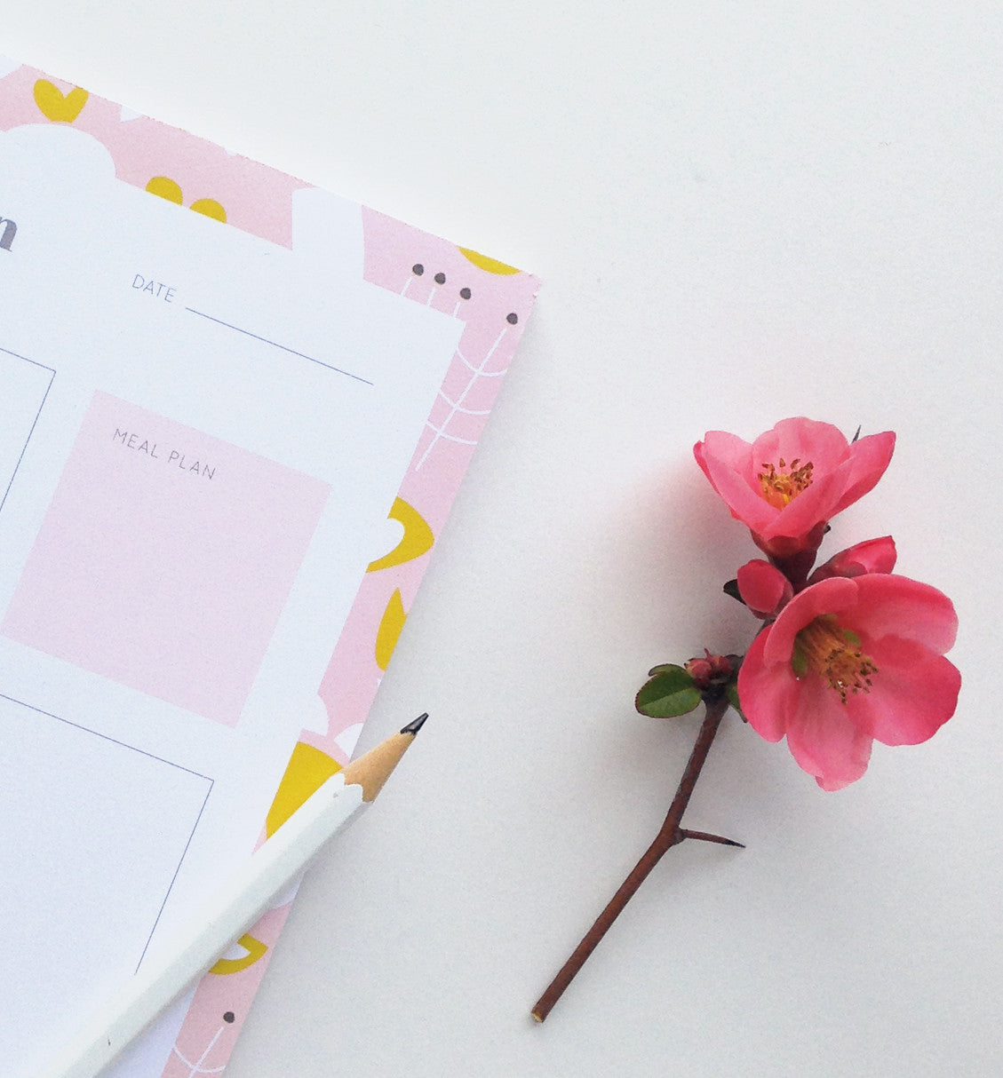 Modern Floral Daily Plan Notepad