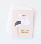 Special Delivery new baby card